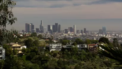 Los Angeles Skyline with houses
